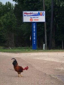 353641604 673289231478368 2823691278987159552 N 225x300