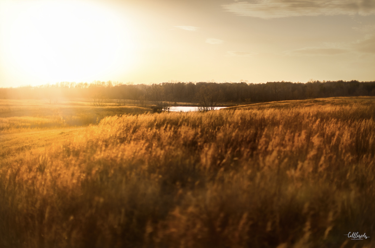 Patton Plumbing service location in Eads, Tennessee