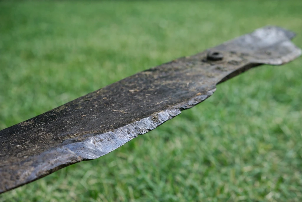 Dull mower blade damage on grass