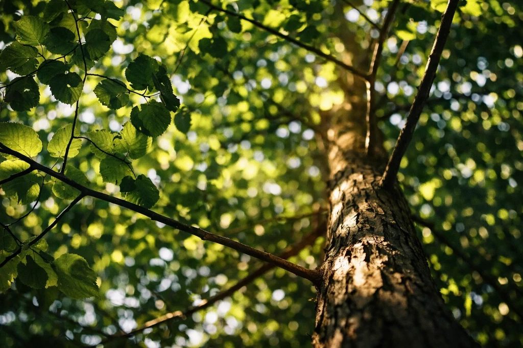 Tree and shrub maintenance