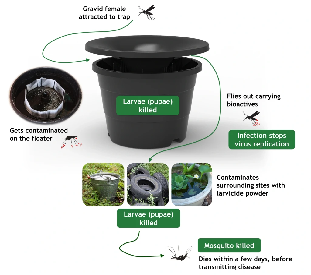 In2Care Mosquito Station mode of action diagram